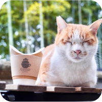 スクロール用５